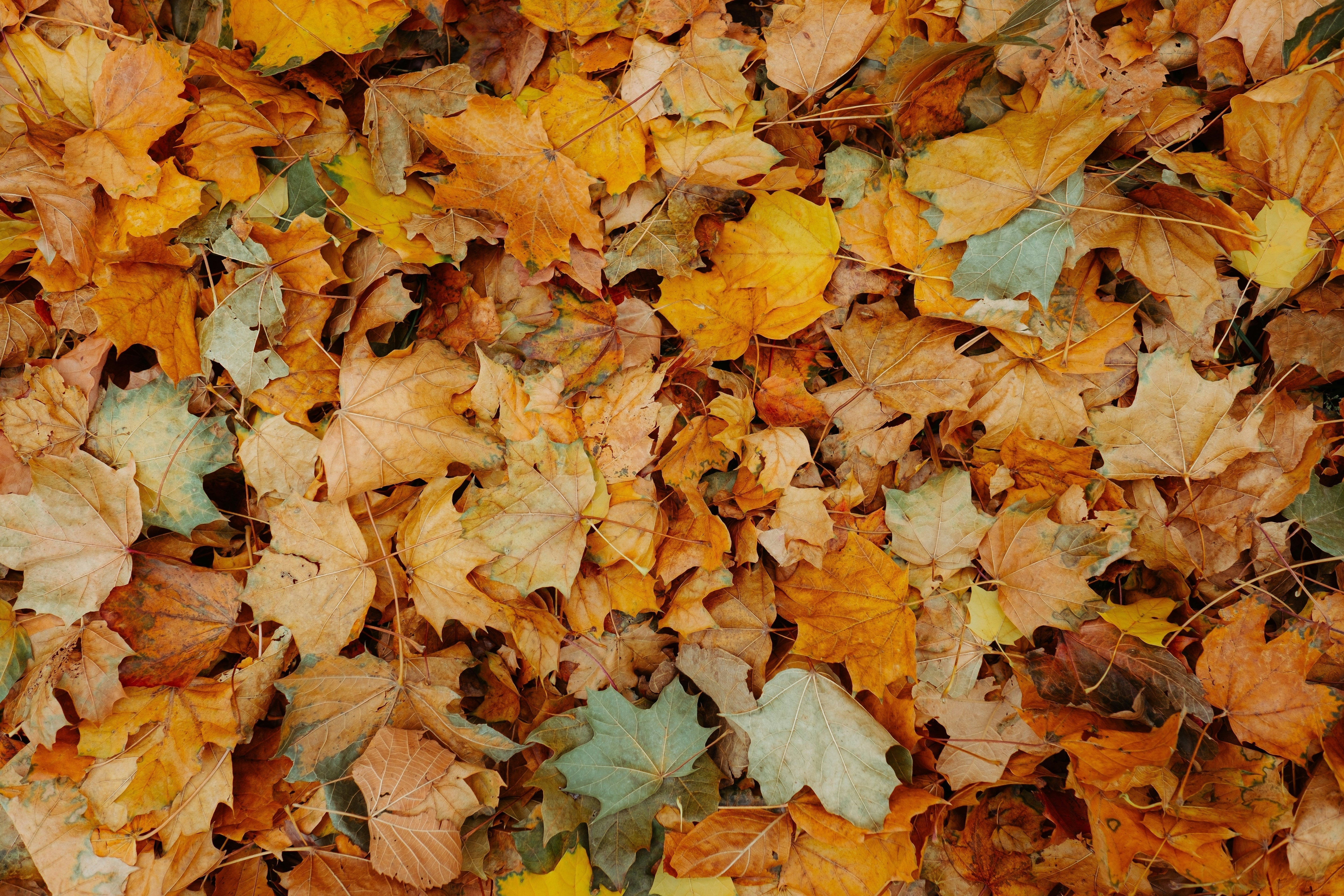 How to Build a Fall Skincare Routine