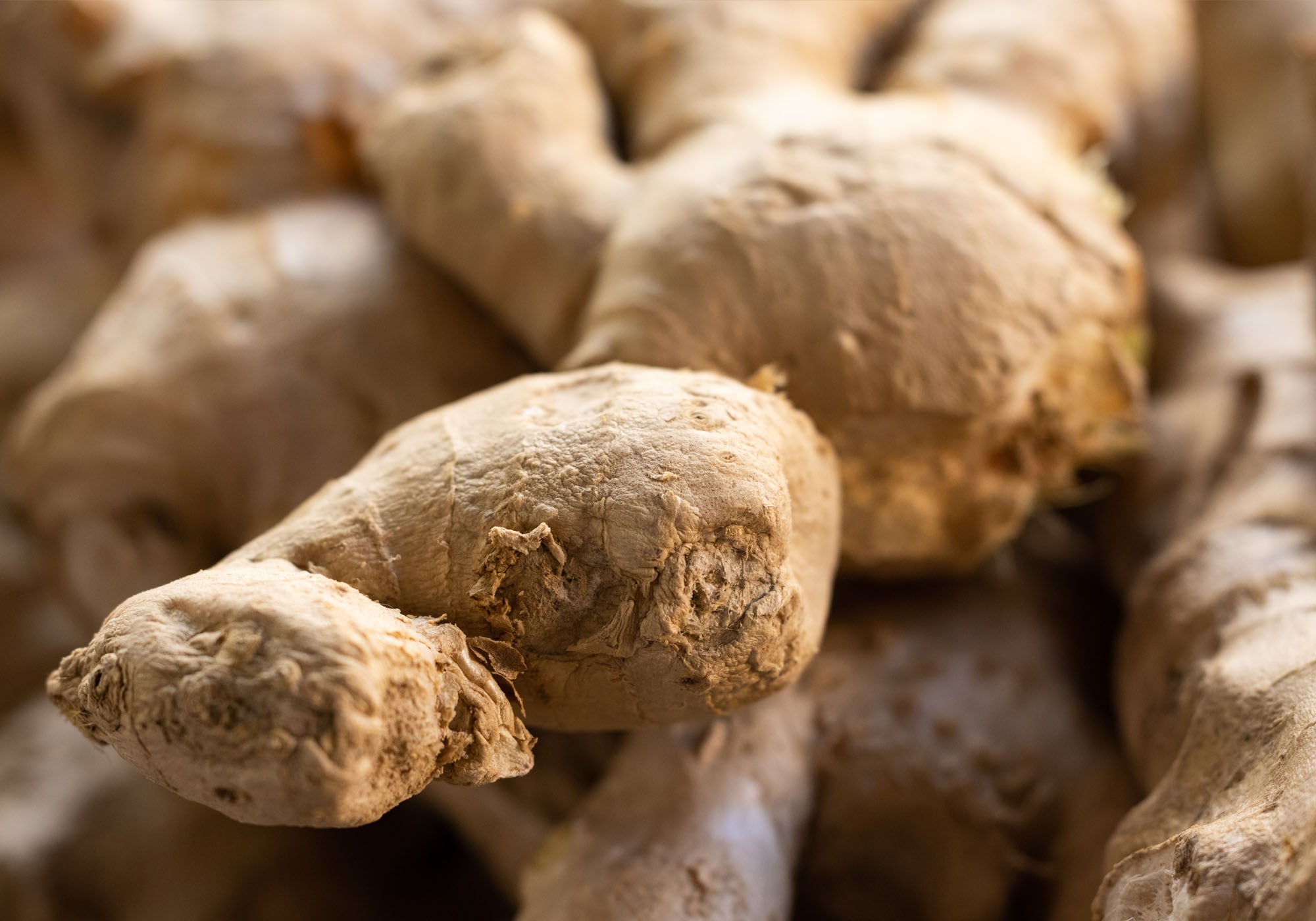 Close up of ginger root