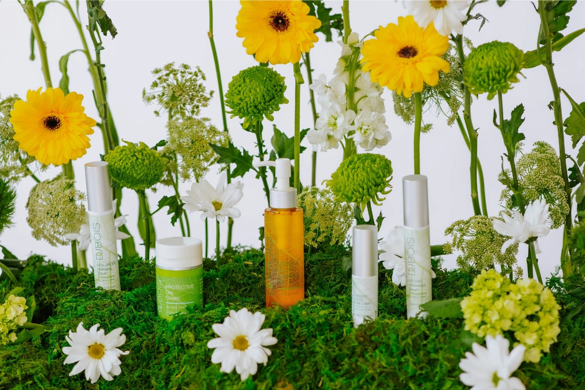 Dubois skincare product line arranged on green moss surrounded by yellow gerbera daisies and white flowers