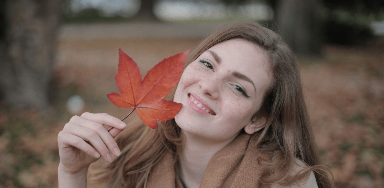 Acer Rubrum from the Boreal Forest - Dubois Beauty & Wellness