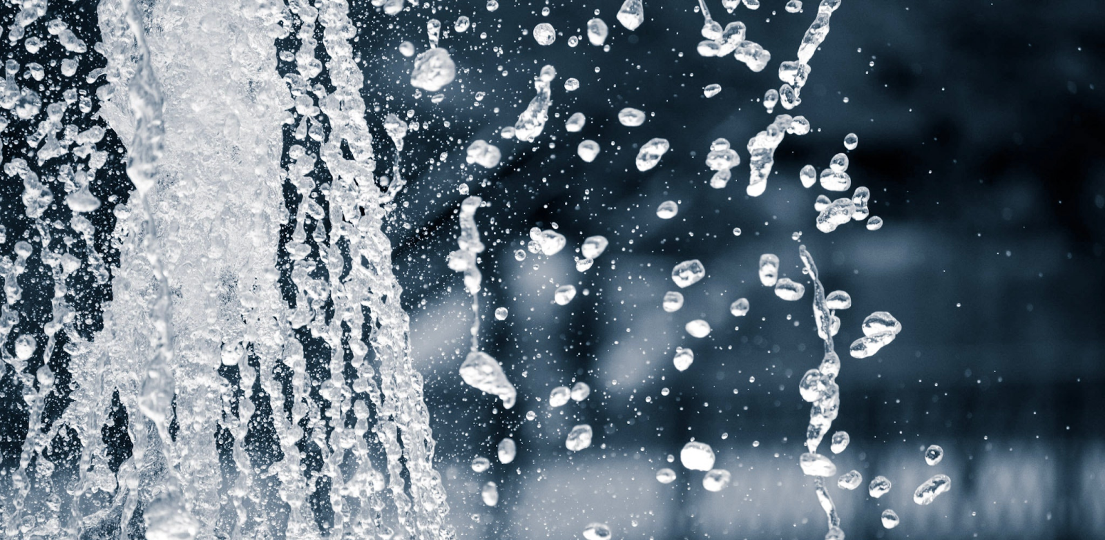 Wellness tip: benefits of a short cold shower