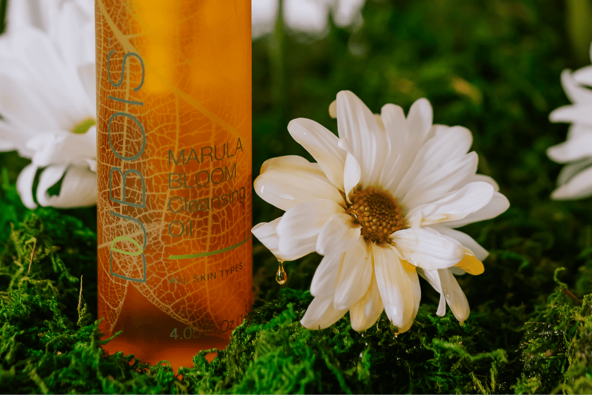 Ingredient Spotlight: Marula Seed Oil - Dubois Beauty & Wellness